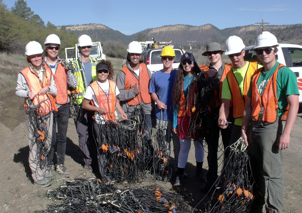Geophysics student jobs calgary